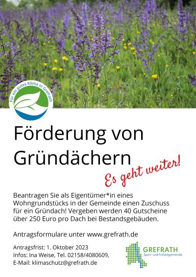 Förderung von Gründächern